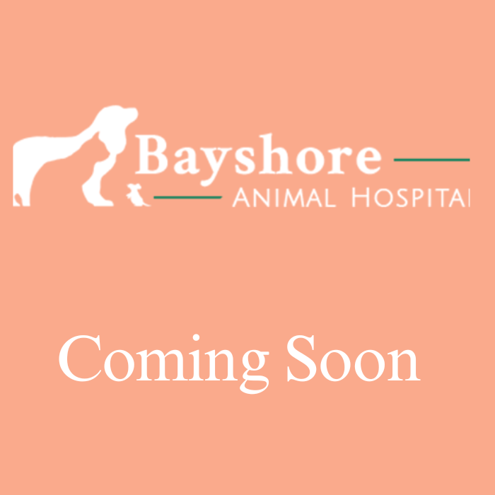 Bayshore Animal Hospital photo coming soon